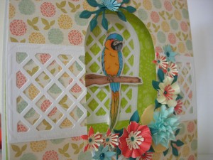 Fur and Feathers parrot card