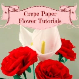 Crepe paper flowers