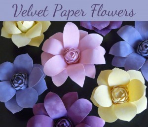 Velvet paper flowers