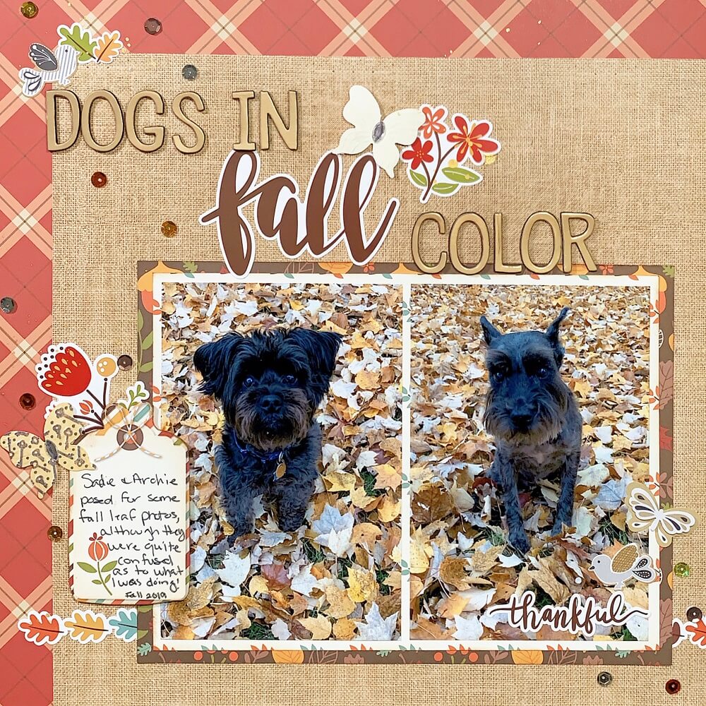 ScrapbookingStore November Fall Layout Ideas - Our Design Team members used all crafting materials from our November 2019 monthly kit called Celebrate Autumn by Echo Park.
